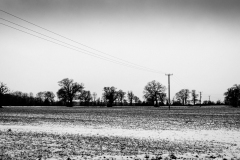 Telegraph Lines in the Snow