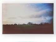 Trees on the Horizon, Norfolk