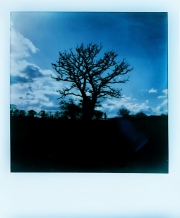 Silhouette against a Blue Sky